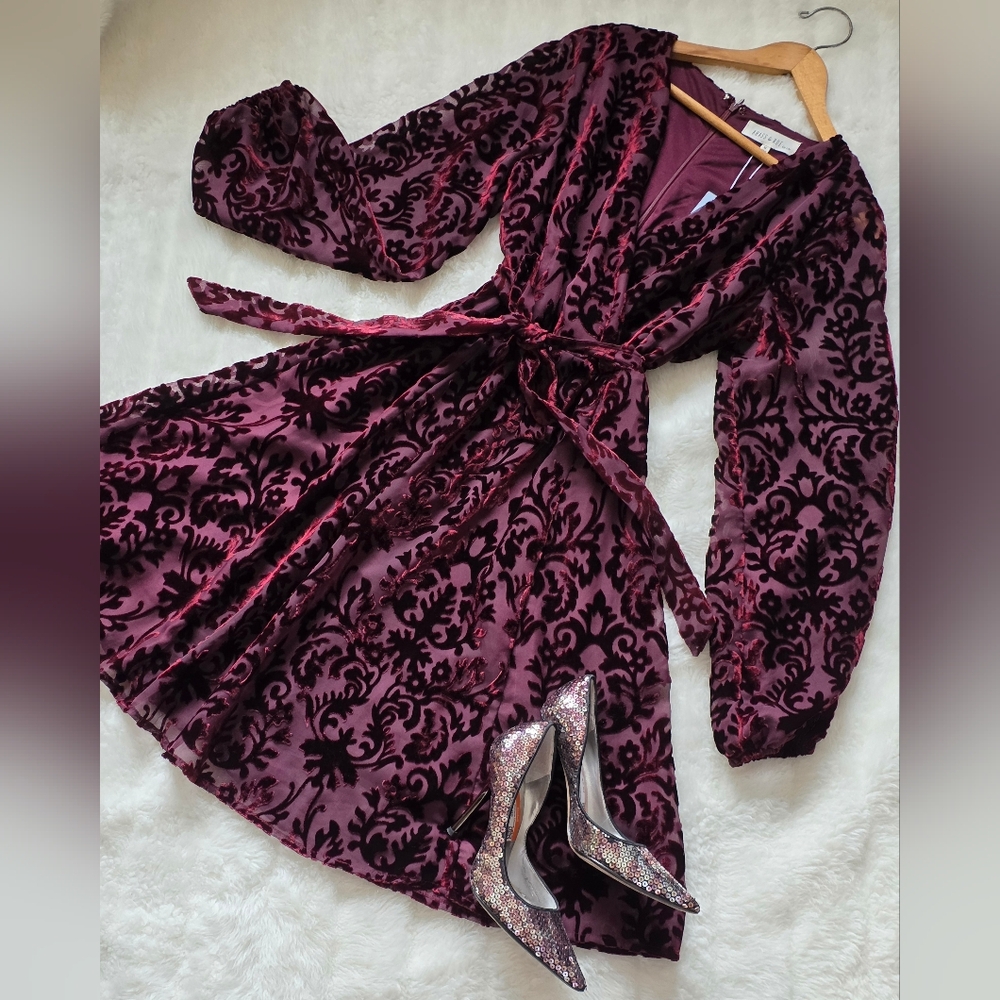 Brass & Roe Elegant Long Sleeve Velvet Dress